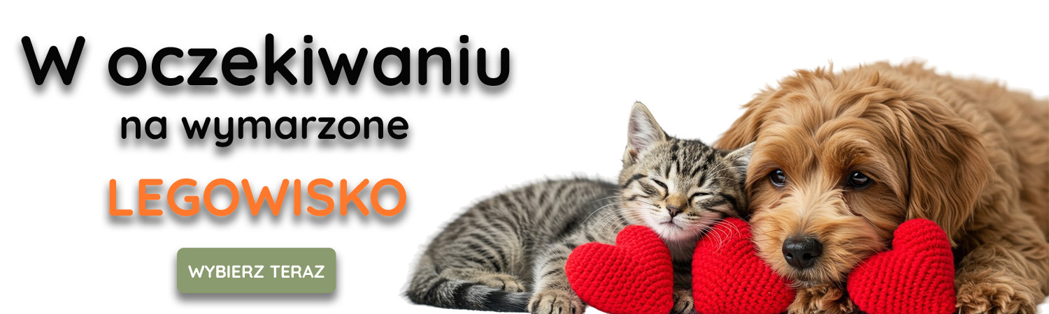 W oczekiwaniu na legowisko