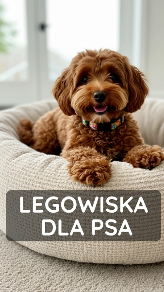 .Legowiska dla Psa