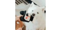 Zabawka Węchowa Lambolf dla Psa Aparat fotograficzny