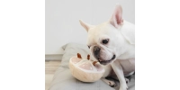 Zabawka Węchowa dla Psa Grapefruit