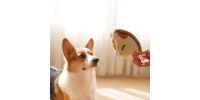 Zabawka Węchowa dla Psa Pizza