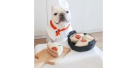 Zabawka Węchowa dla Psa Pizza