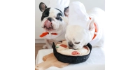 Zabawka Węchowa dla Psa Pizza
