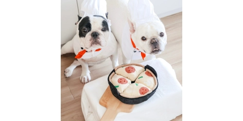 Zabawka Węchowa dla Psa Pizza