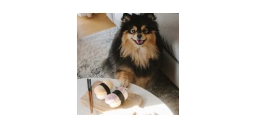 Węchowa zabawka dla psa Sushi