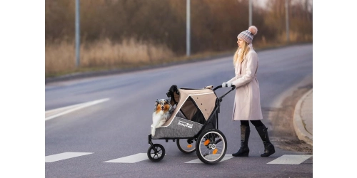 InnoPet Sporty Evolution Latte - wózek do roweru dla psa i kota